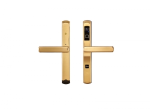 X290- gold